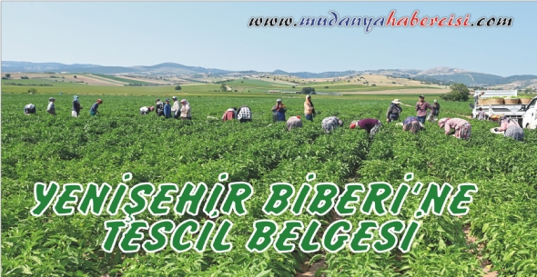 YENEHR BBERݒNE DE TESCL BELGES